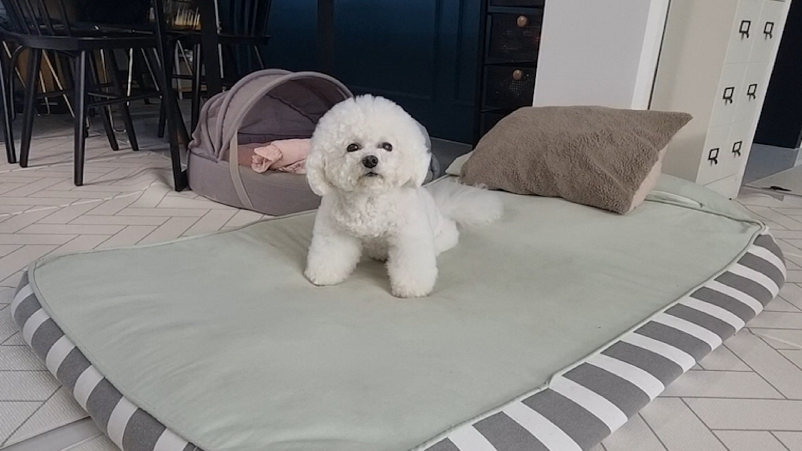 사진 6