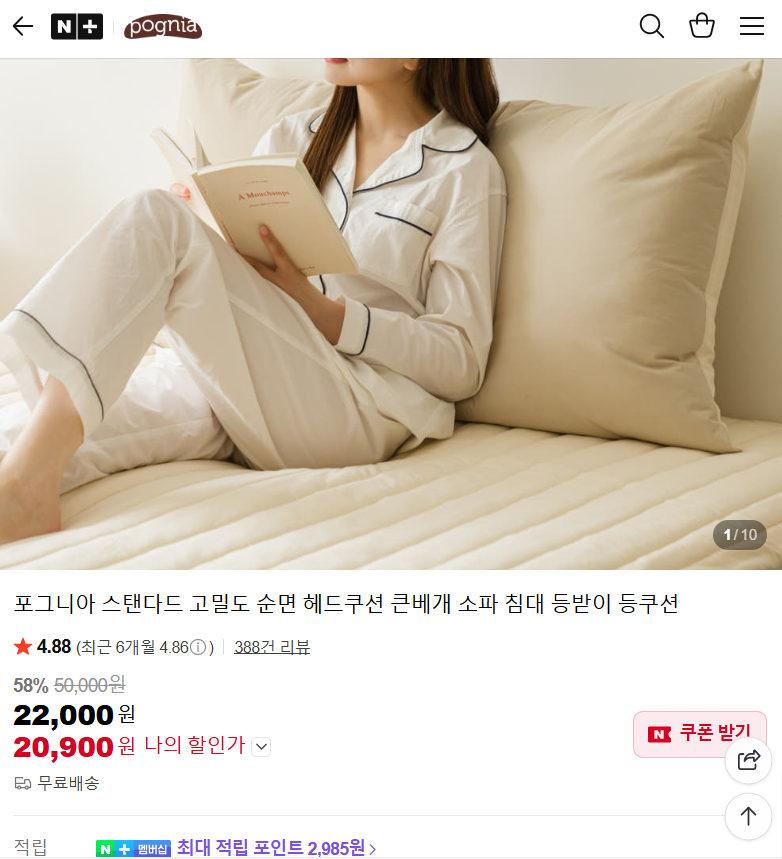 네이버)포그니아 고밀도 순면 등받이 쿠션 20,900원 무배