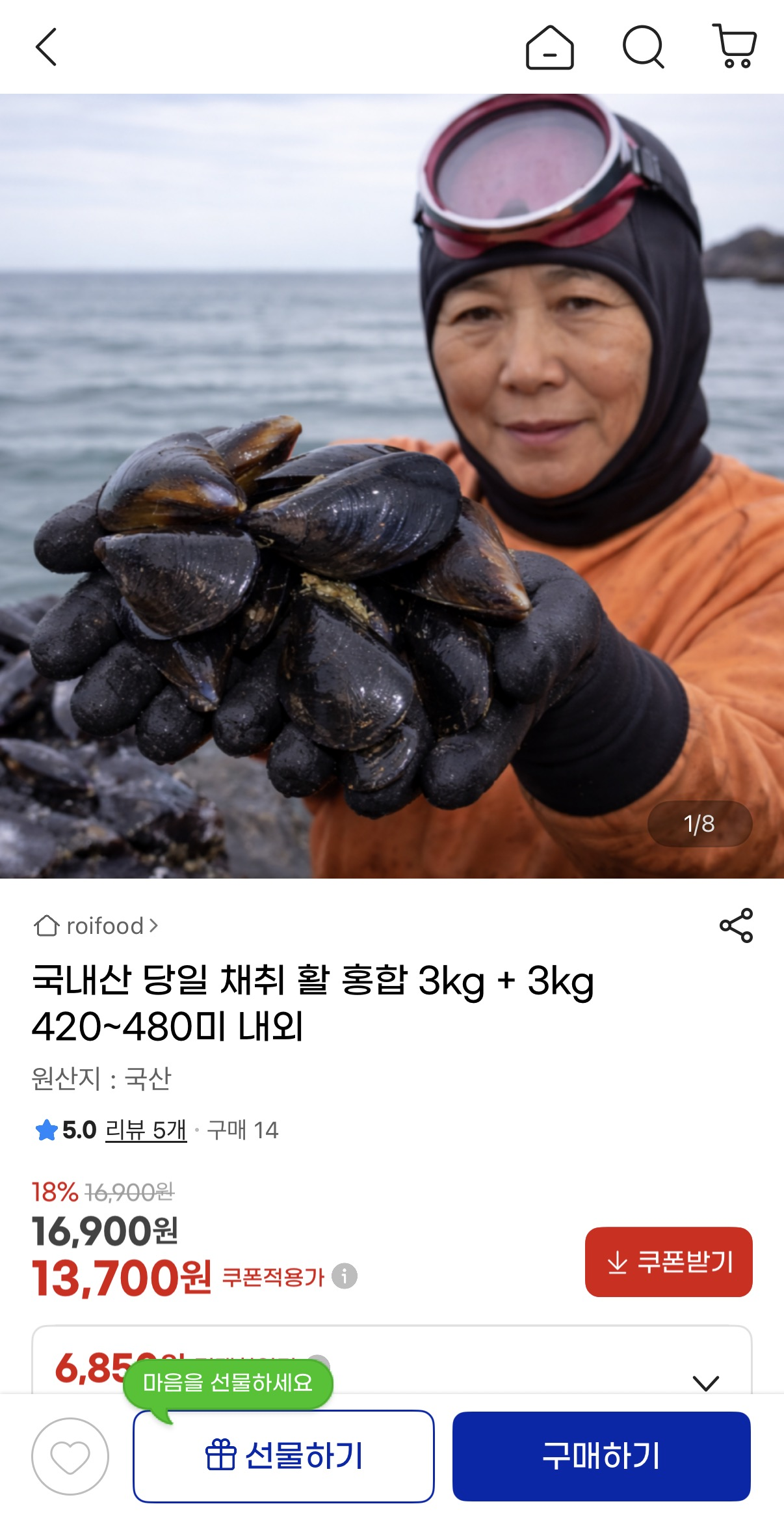 국내산 당일 채취 활홍합 3kg+3kg 13,700원 무료 핫딜이요!