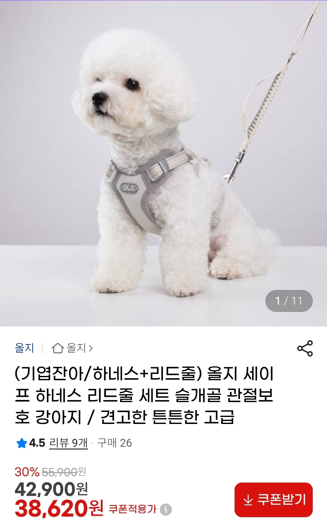 올지 세이프 하네스 리드줄 세트 슬개골 관절보호 강아지 38,620원