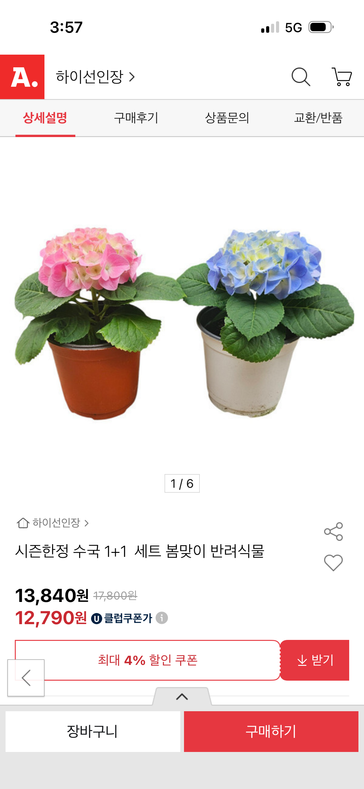 옥션) 시즌한정 수국 1+1 핑크 블루 세트 무배 12,790원