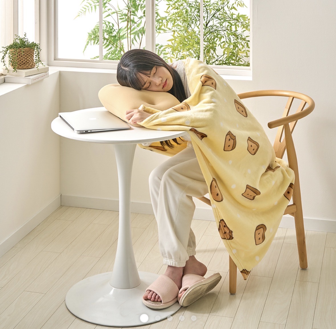 극세사담요 1+1에 6500원‼️