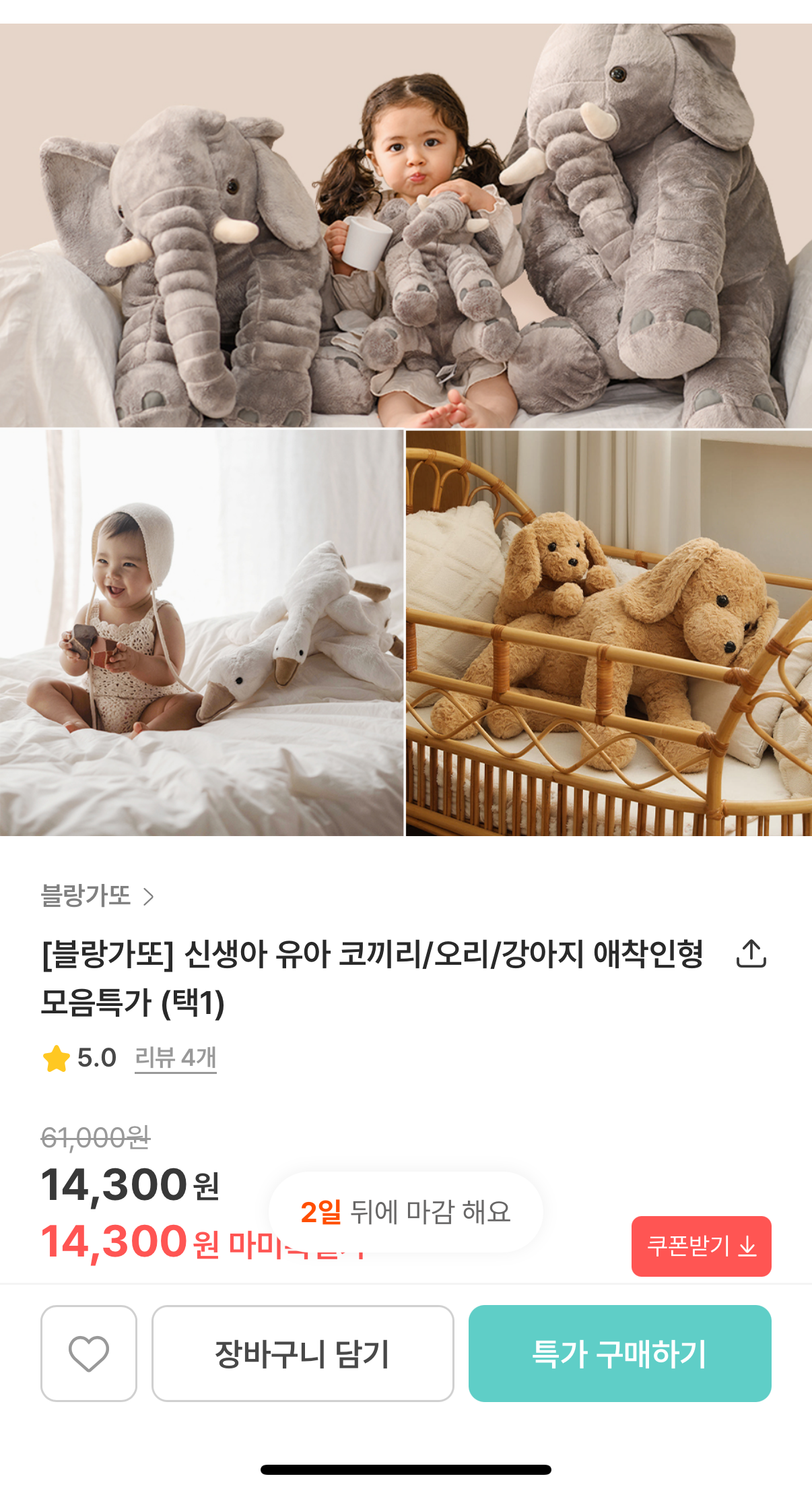 마미톡)) 국민템 블랑가또 애착인형 핫딜!!!