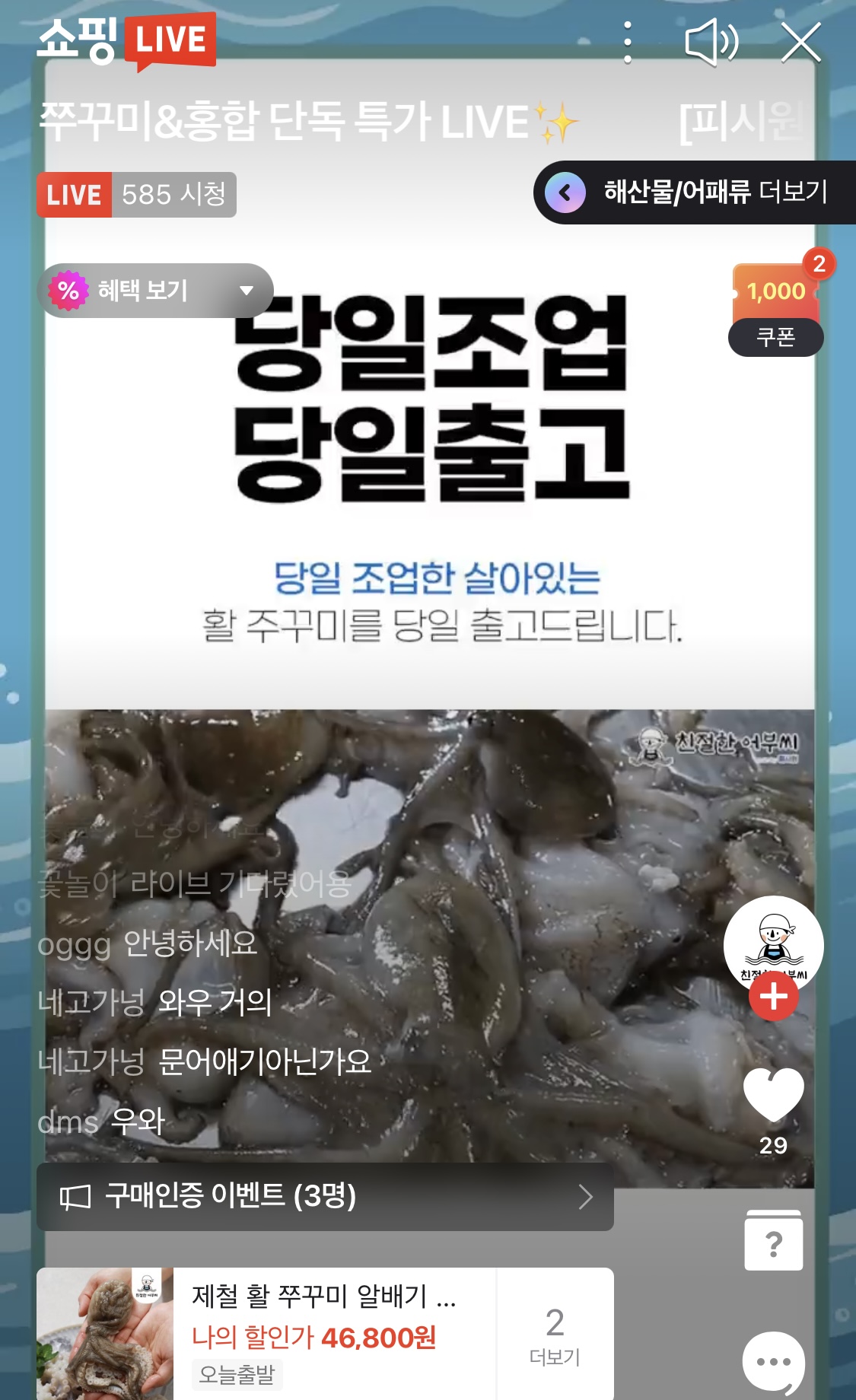 알쭈꾸미 섭 홍합 11,800원~ 제철 특가 라이브