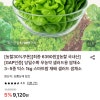롯데온)샐러드용 쌈채소 1kg 6,390원 온누리가능