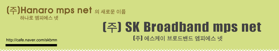 SK Broadband mps net